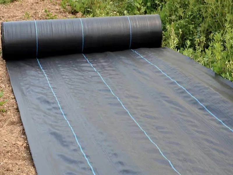 Tongfu Eco-materials が高性能生分解性防草生地を発売