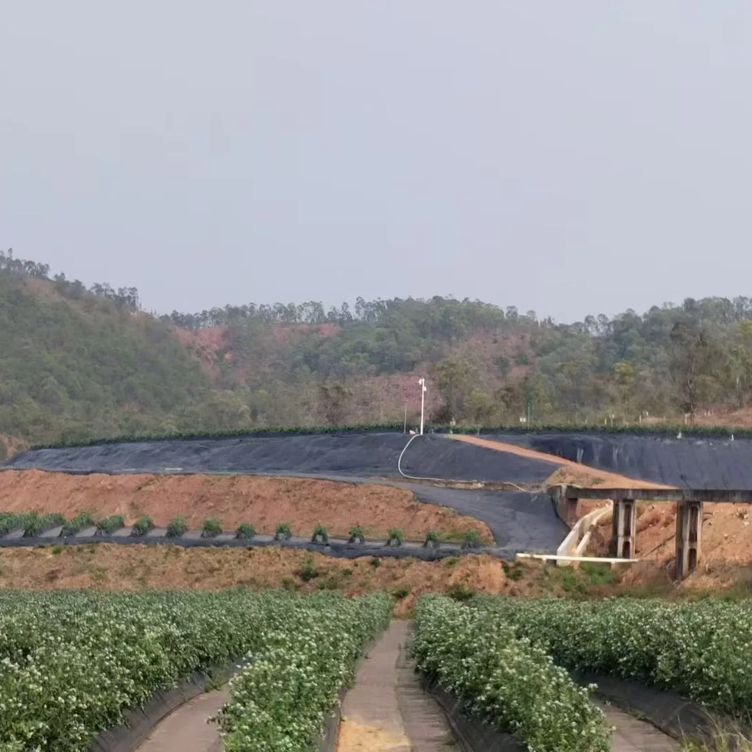 漢方薬の雑草バリア生地