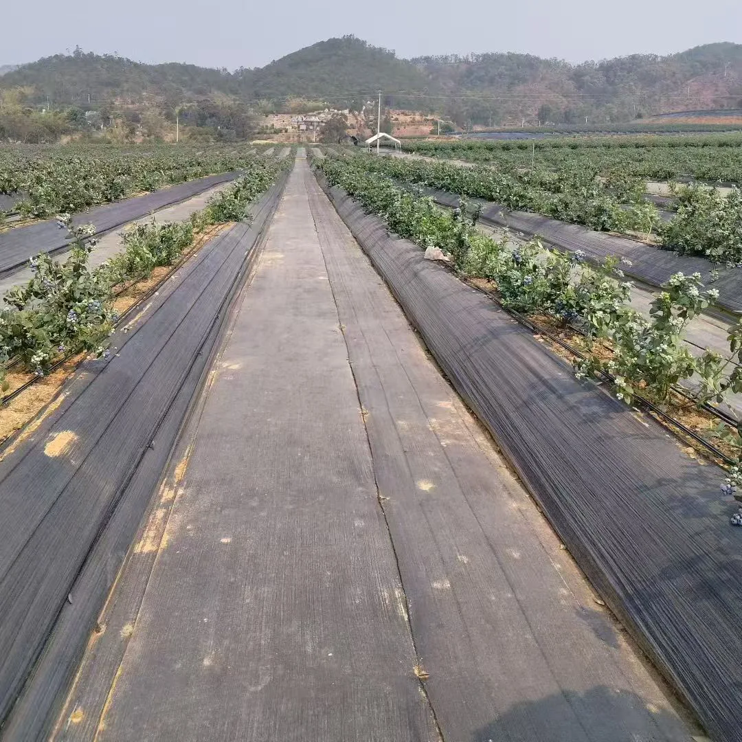 生分解性防草布