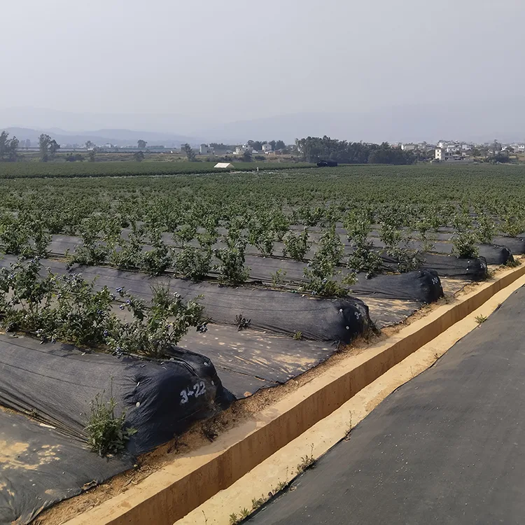 Biodegradable Agricultural Weed Barrier Fabric
